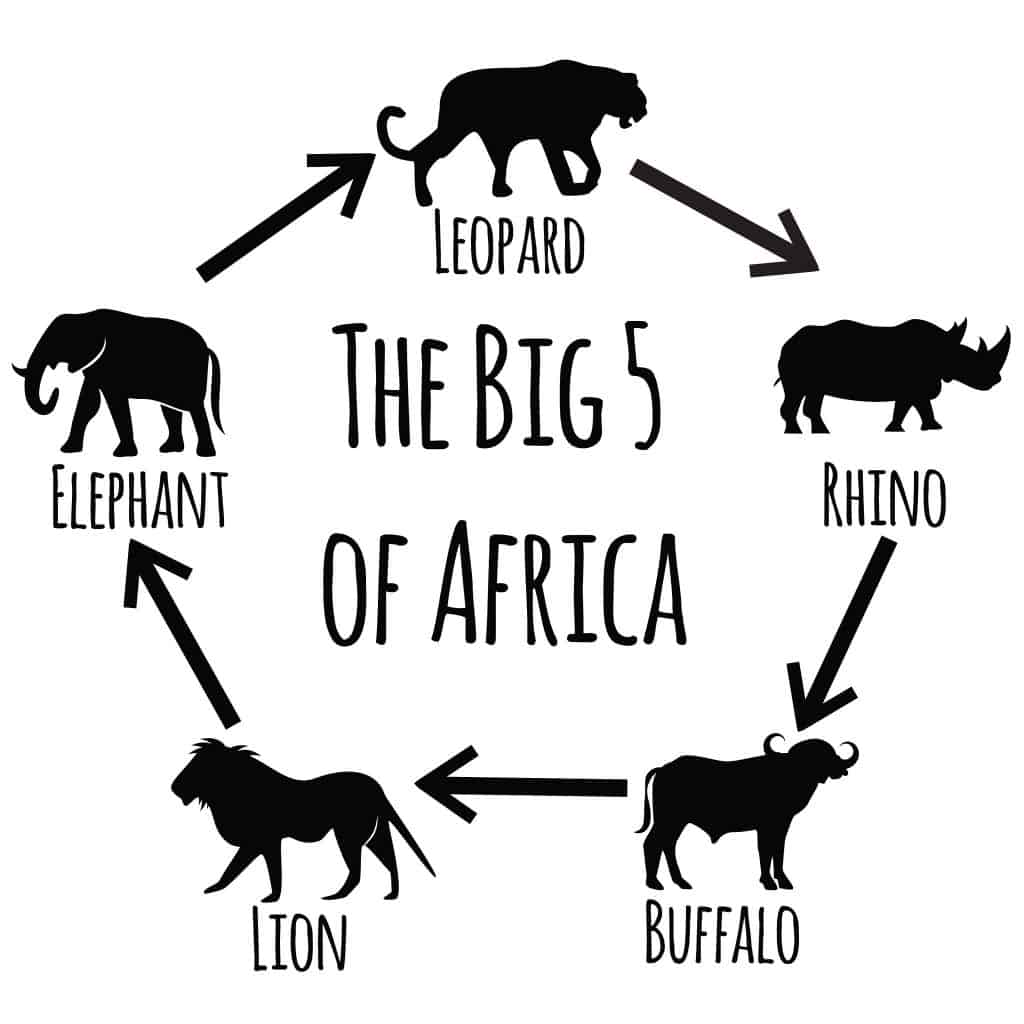 big five safaris