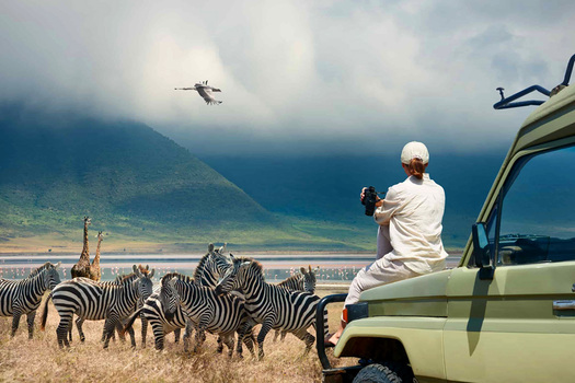  Best Time to Visit Tanzania