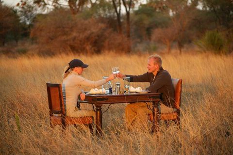 honeymoon safari 4