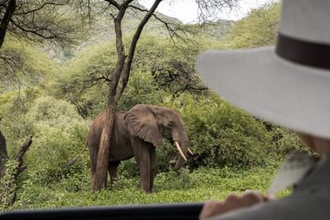 tarangire