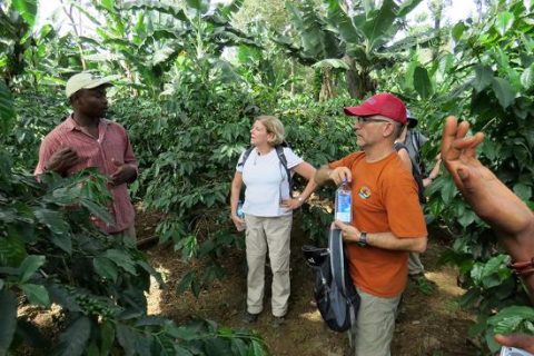 the-coffee-plantation